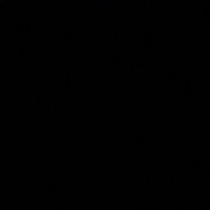 Meet your Posher, Jace